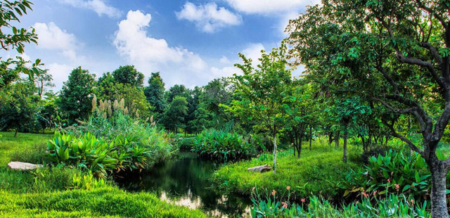 ��Ŀ����