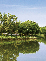 ˮ��������