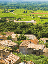 ������彨��